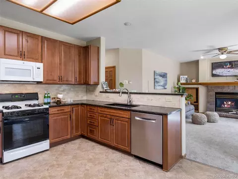 19072 E Progress Ln, Centennial, CO 80015 photo 10