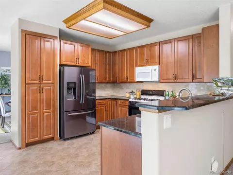 19072 E Progress Ln, Centennial, CO 80015 photo 9