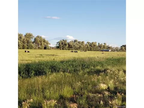 15665 E County Line Rd, Berthoud, CO 80513 photo 4