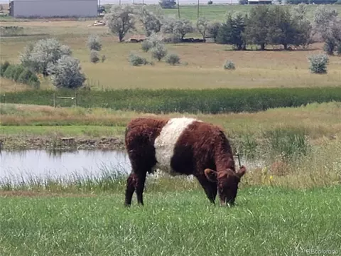 15665 E County Line Rd, Berthoud, CO 80513 photo 6