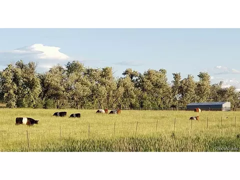 15665 E County Line Rd, Berthoud, CO 80513 photo 18