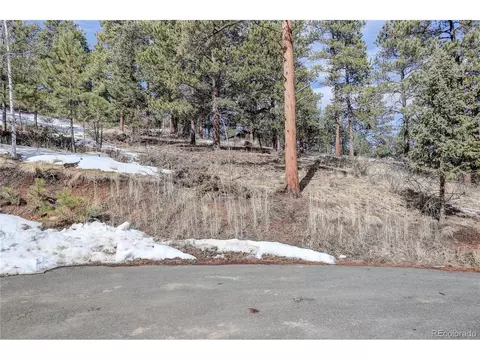 611 Impala Trl, Bailey, CO 80421 photo 31