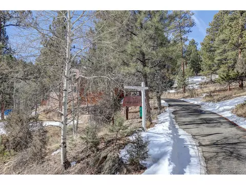 611 Impala Trl, Bailey, CO 80421 photo 33
