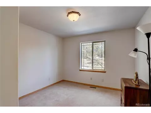 611 Impala Trl, Bailey, CO 80421 photo 20