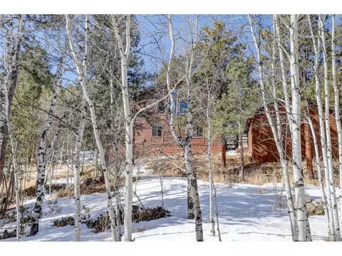 611 Impala Trl, Bailey, CO 80421 photo 27