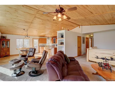 611 Impala Trl, Bailey, CO 80421 photo 11