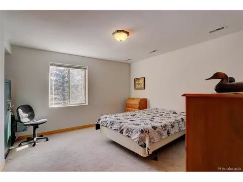611 Impala Trl, Bailey, CO 80421 photo 24