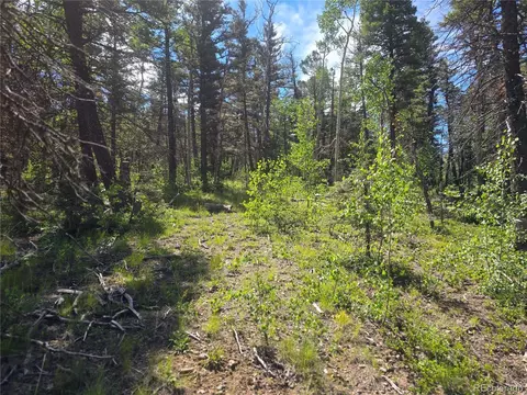 5769 Balleroy Rd, Fort Garland, CO 81133
