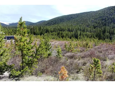 33 Silver Creek Rd, Idaho Springs, CO 80425