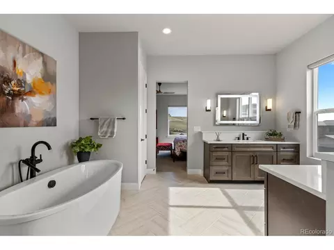 10869 Bluffside Dr, Lone Tree, CO 80124 photo 32