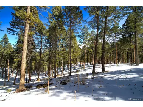 1 Iowa Gulch Rd, Morrison, CO 80465 photo 4