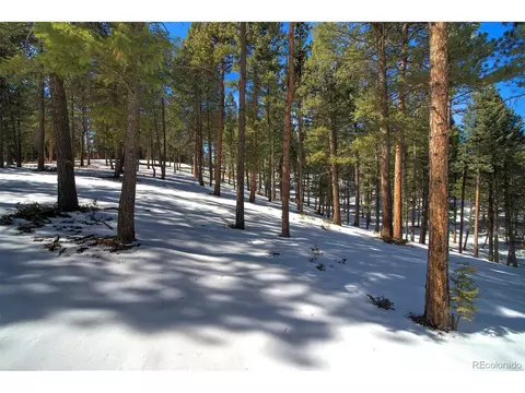 1 Iowa Gulch Rd, Morrison, CO 80465 photo 6