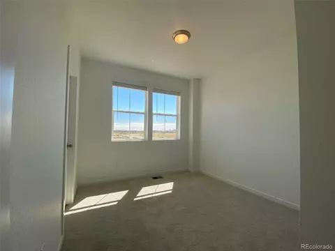5406 Second Ave, Timnath, CO 80547 photo 13