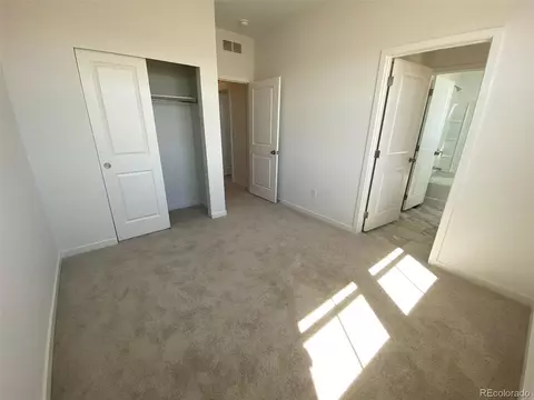 5406 Second Ave, Timnath, CO 80547 photo 9