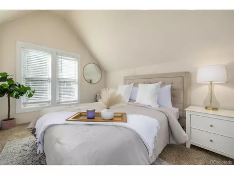 717 E 1st Ave, Denver, CO 80203 photo 27