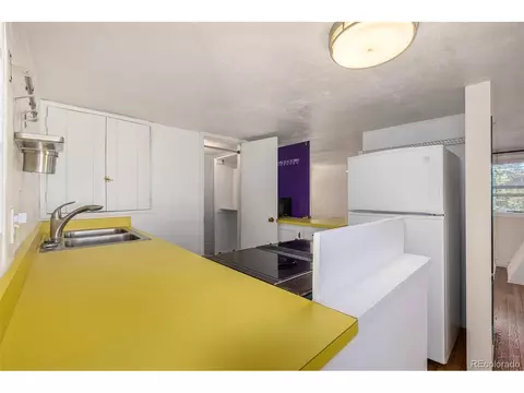 717 E 1st Ave, Denver, CO 80203 photo 22