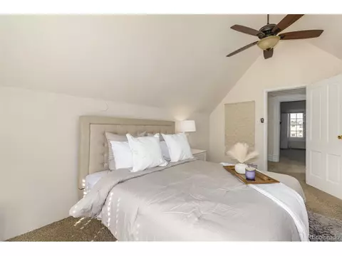 717 E 1st Ave, Denver, CO 80203 photo 25