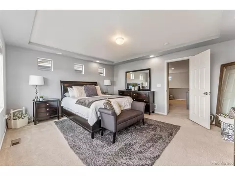 18128 E 44th Ave, Denver, CO 80249 photo 22