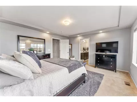 18128 E 44th Ave, Denver, CO 80249 photo 23