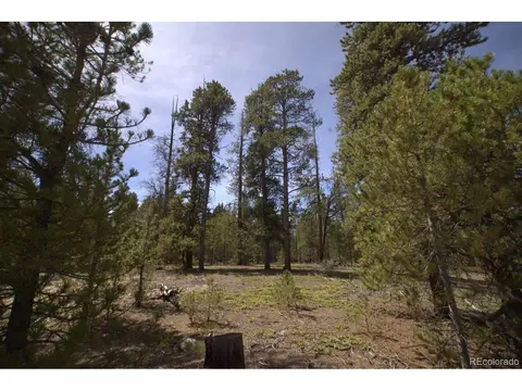 142 Birch Dr, Twin Lakes, CO 81251
