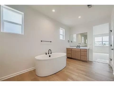 3991 Wheathead Pl, Timnath, CO 80547 photo 14