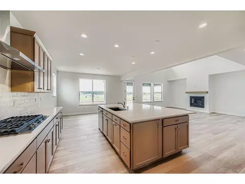 3991 Wheathead Pl, Timnath, CO 80547 photo 7