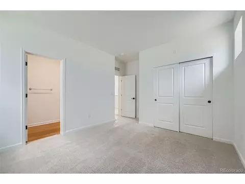 3991 Wheathead Pl, Timnath, CO 80547 photo 20