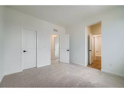 3991 Wheathead Pl, Timnath, CO 80547 photo 25