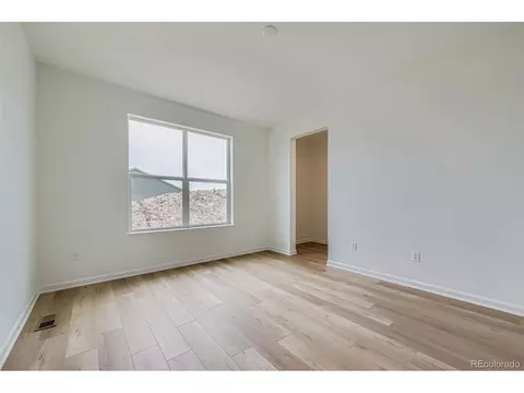 3991 Wheathead Pl, Timnath, CO 80547 photo 12