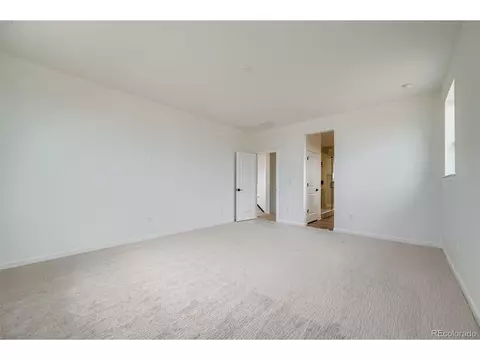 3991 Wheathead Pl, Timnath, CO 80547 photo 18