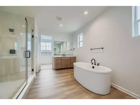 3991 Wheathead Pl, Timnath, CO 80547 photo 13