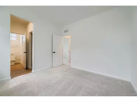 3991 Wheathead Pl, Timnath, CO 80547 photo 23