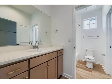 3991 Wheathead Pl, Timnath, CO 80547 photo 24