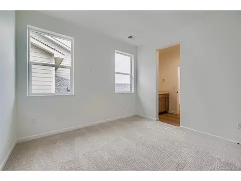 3991 Wheathead Pl, Timnath, CO 80547 photo 22
