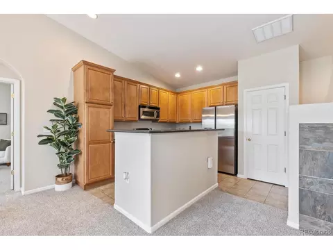 7777 E 23rd Ave #503, Denver, CO 80238 photo 15