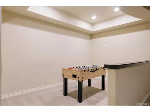 Other - 9897 E 31st Ave, Denver, CO 80238 photo 9 of 10