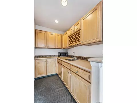 21283 E 50th Pl, Denver, CO 80249 photo 17