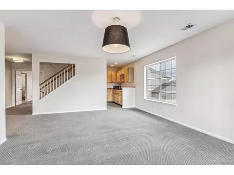21283 E 50th Pl, Denver, CO 80249 photo 16