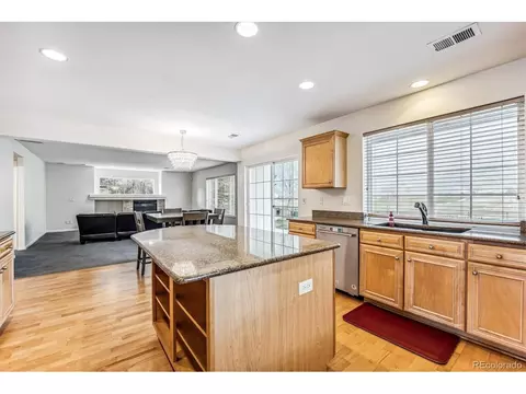 21283 E 50th Pl, Denver, CO 80249 photo 13