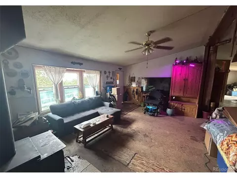 Living - 374 Hickory Creek Rd, Divide, CO 80814 photo 3 of 3