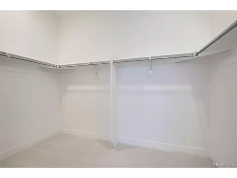 4352 Trader St, Timnath, CO 80547 photo 21