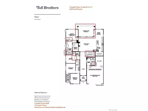 4352 Trader St, Timnath, CO 80547 photo 30