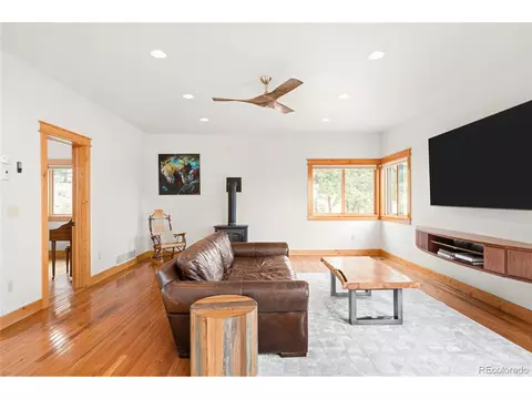 Living - 229 Mohawk Trl, Pine, CO 80470 photo 2 of 3