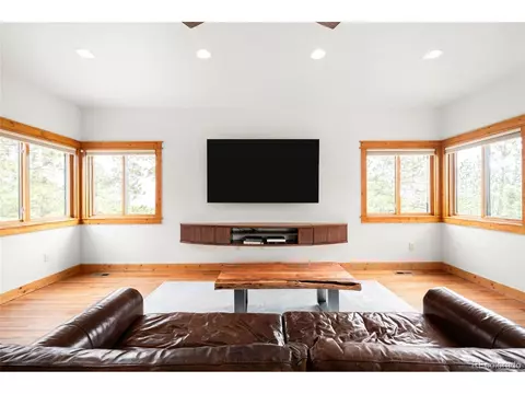 Living - 229 Mohawk Trl, Pine, CO 80470 photo 3 of 3