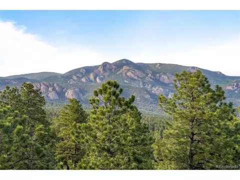 Other - 229 Mohawk Trl, Pine, CO 80470 photo 6 of 6
