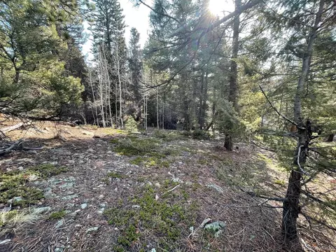 12282 Hosman Ct, Conifer, CO 80433