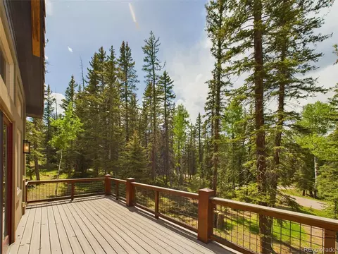 202 Starlight Hts, Divide, CO 80814 photo 15