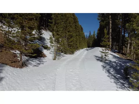 817 Harris Cir, Idaho Springs, CO 80452