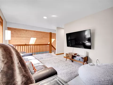 385 Pine Dr, Fairplay, CO 80440 photo 22