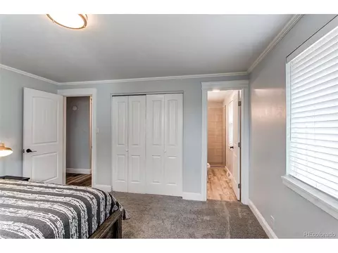 4445 Everett Dr, Wheat Ridge, CO 80033 photo 15
